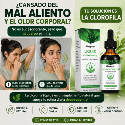 Clorofila Premium – Frescura y Bienestar Desde Adentro