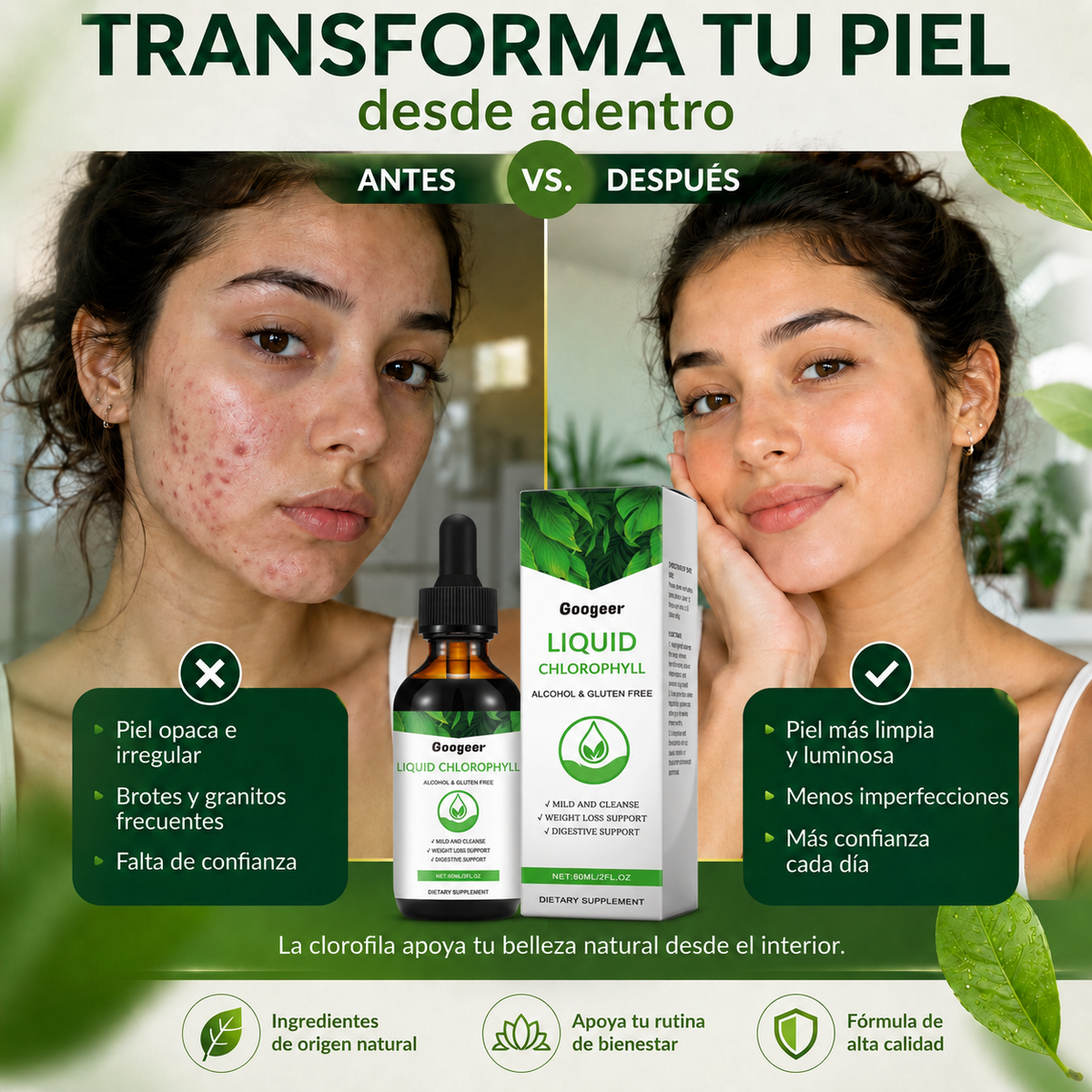 Clorofila Premium – Frescura y Bienestar Desde Adentro