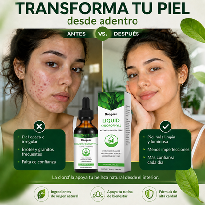 Clorofila Premium – Frescura y Bienestar Desde Adentro